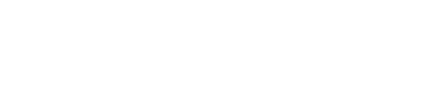 New Generation Ski Logo